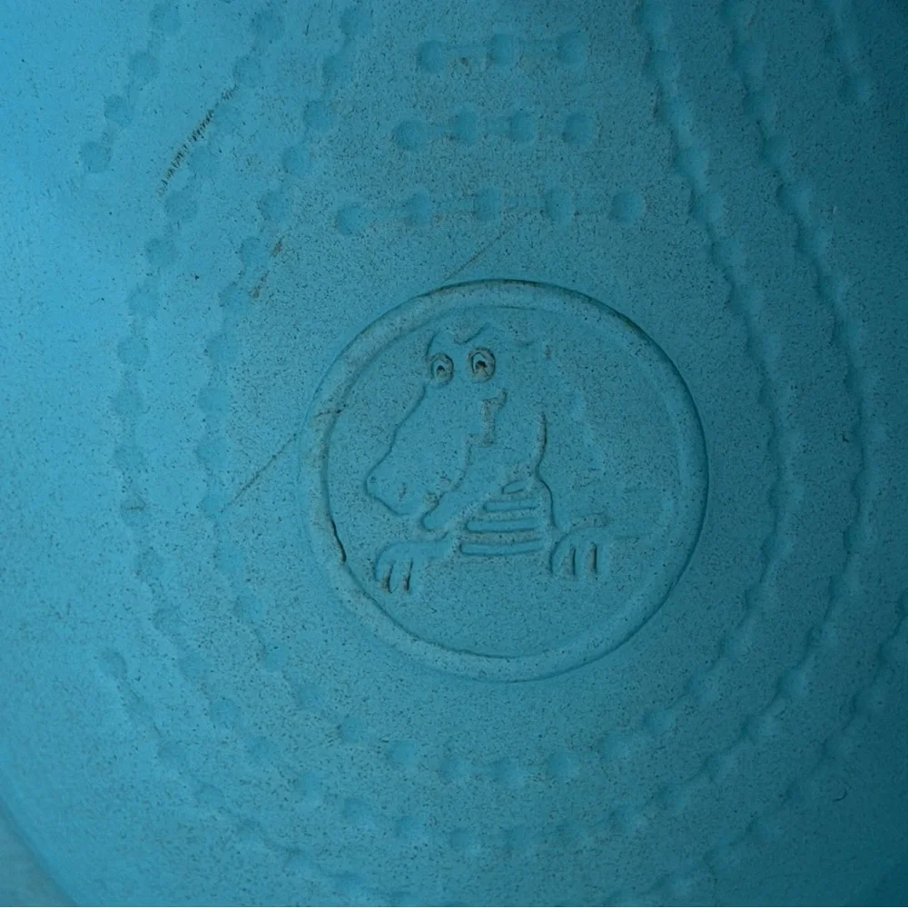 CROCS kids size